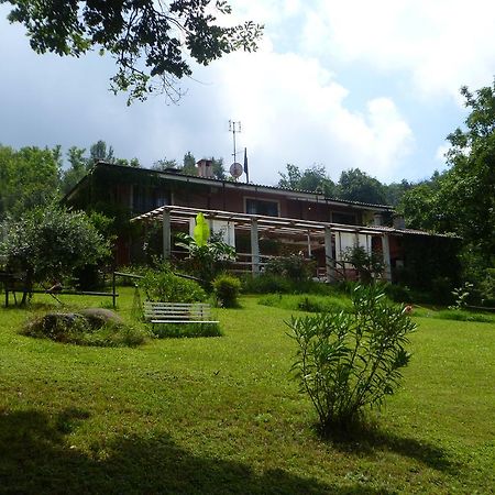 Fattoria Sequoia Bed & Breakfast Castagneto Po Bagian luar foto