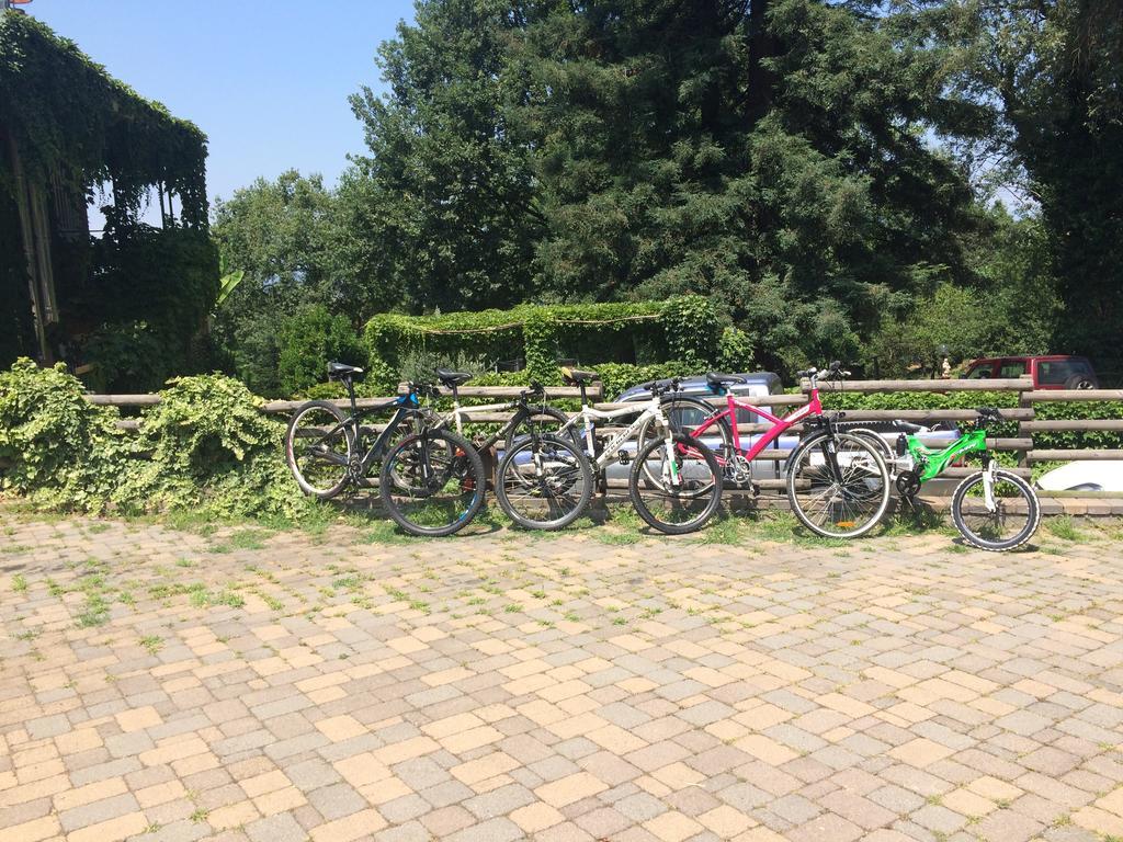 Fattoria Sequoia Bed & Breakfast Castagneto Po Bagian luar foto