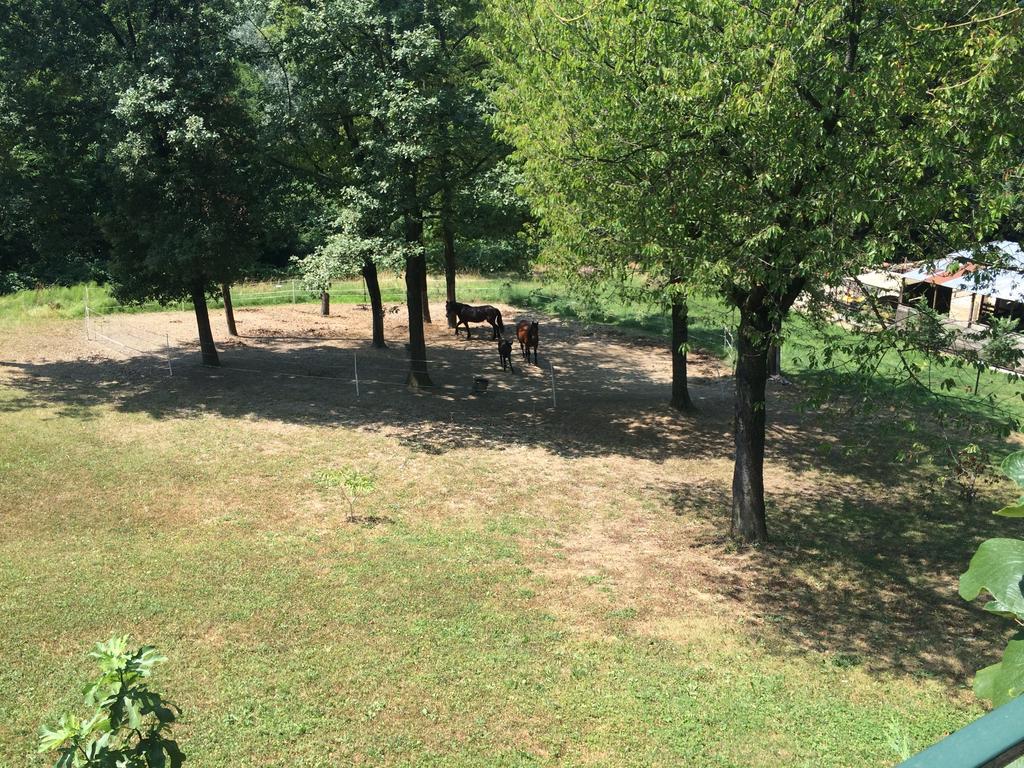 Fattoria Sequoia Bed & Breakfast Castagneto Po Bagian luar foto