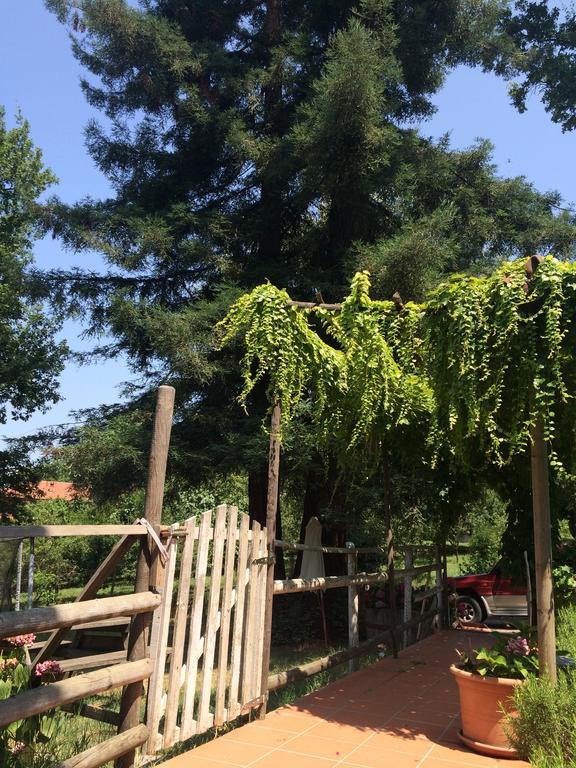 Fattoria Sequoia Bed & Breakfast Castagneto Po Ruang foto